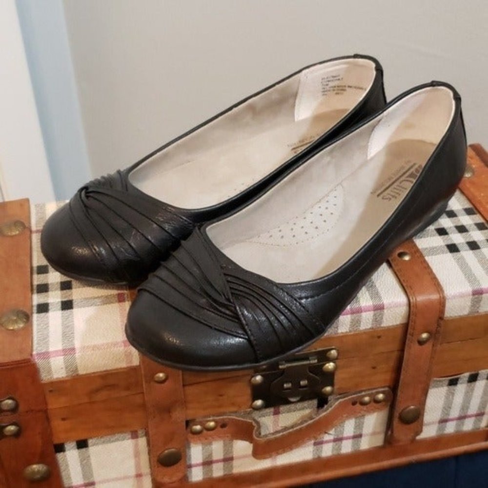 Cliffs by White Mountain Black Flats